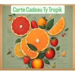 Carte Cadeau TY TROPIK 500