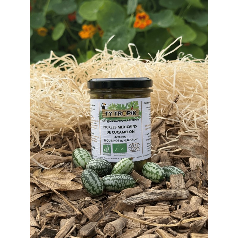 Pickles Mexicains de Cucamelon en 200gr