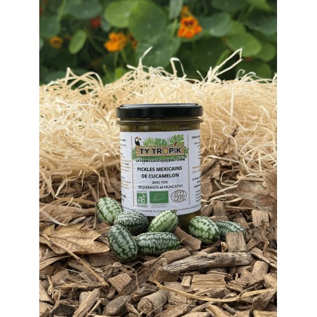 Pickles Mexicains de Cucamelon en 200gr