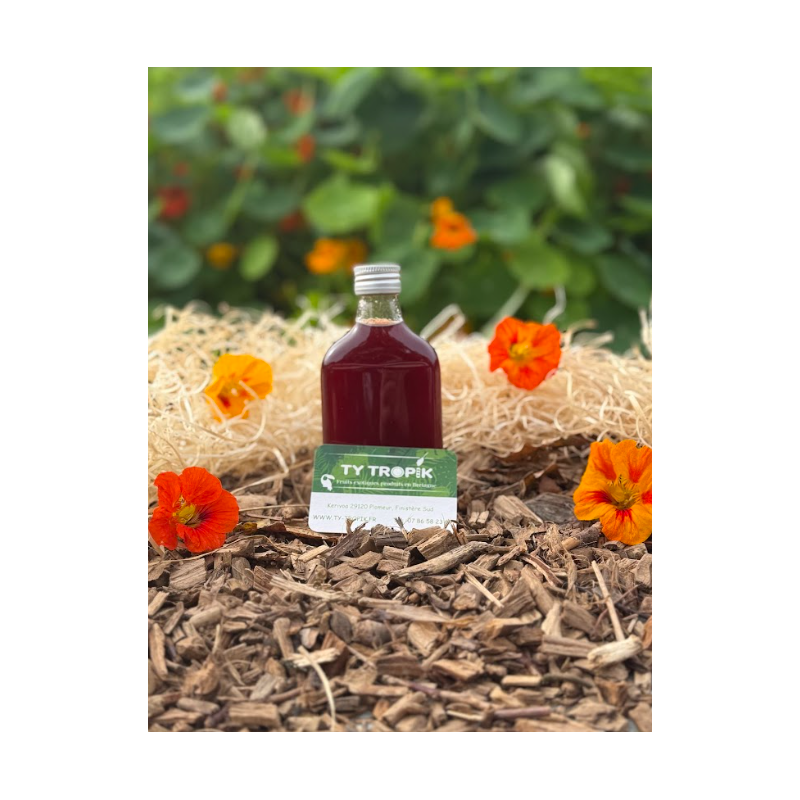 Koso Prune et Perilla de Corée en 20cl