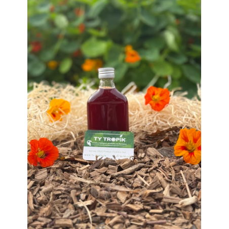 Koso Prune et Perilla de Corée en 20cl