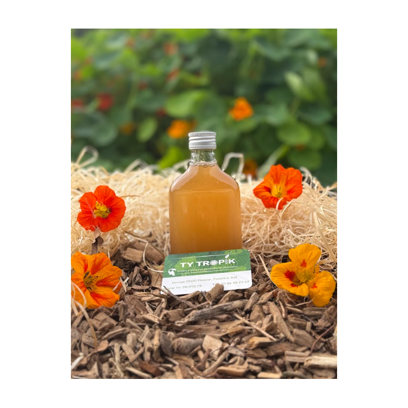 Koso Poire et Fère Tonka en 20cl