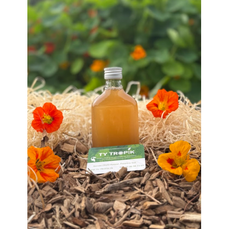 Koso Poire et Fère Tonka en 20cl