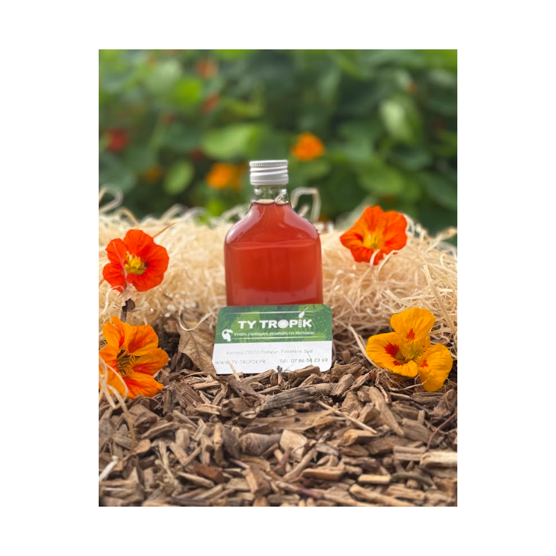 Koso Prune et Géranium Rosat en 20cl