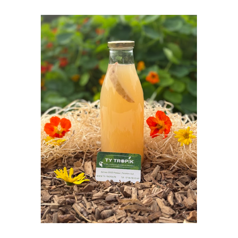 Jus de Pomme Bâton de citronnelle de Madagascar 1L