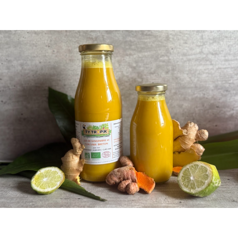 Jus de Gingembre et Curcuma Breton 25cl