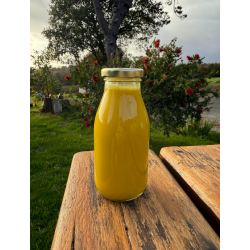 Jus de Gingembre et Curcuma Breton 25cl